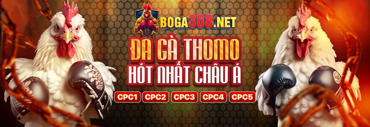 Đánh giá chuyên sâu shbet80 nhà cái