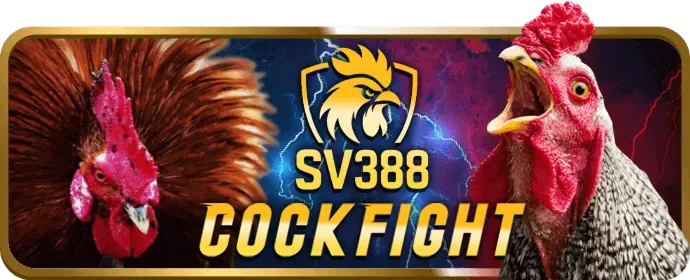 Đá gà shbet80 nhà cái